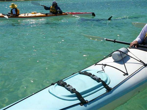 moreton island canoeing