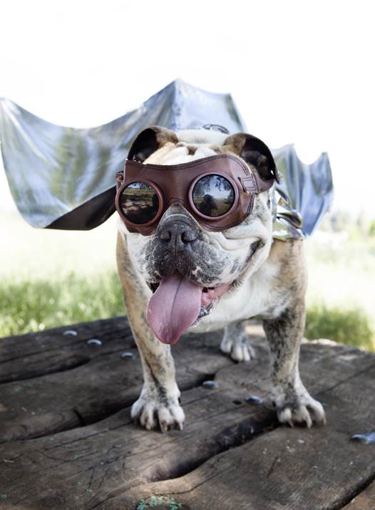 Super-Mugsy