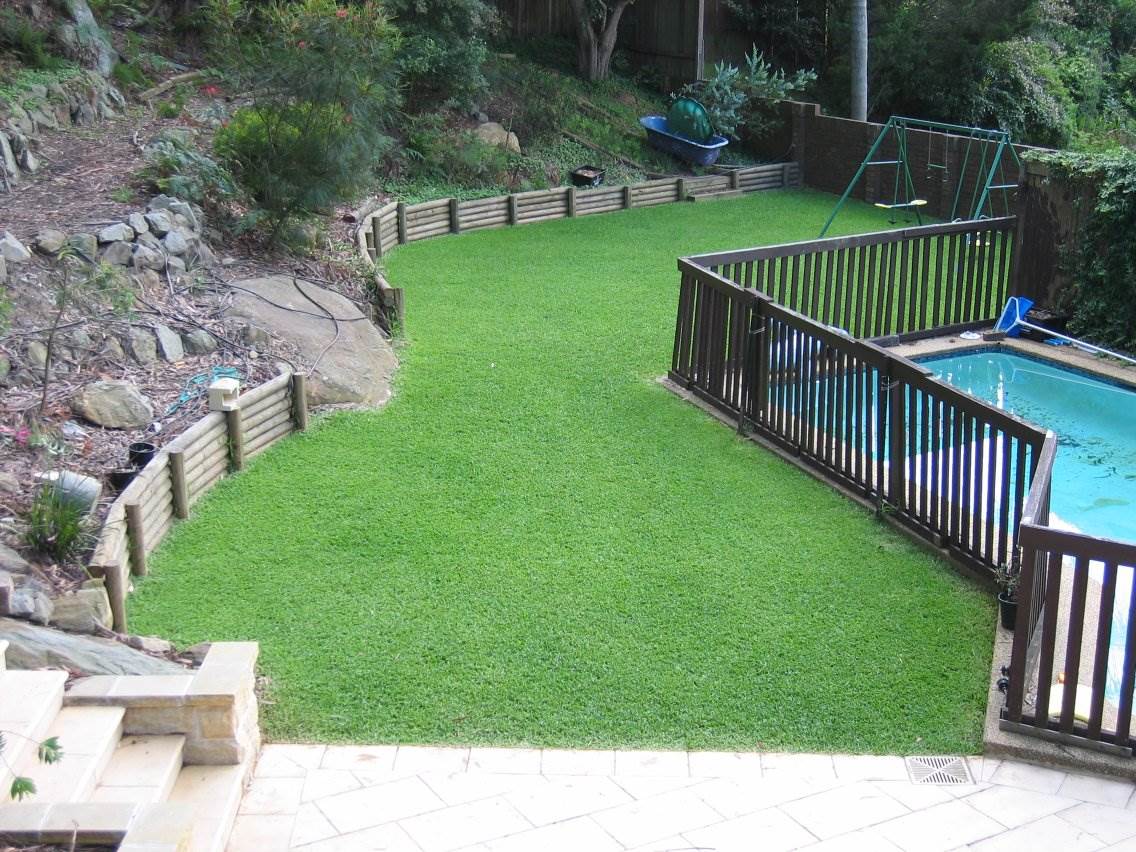 grass
