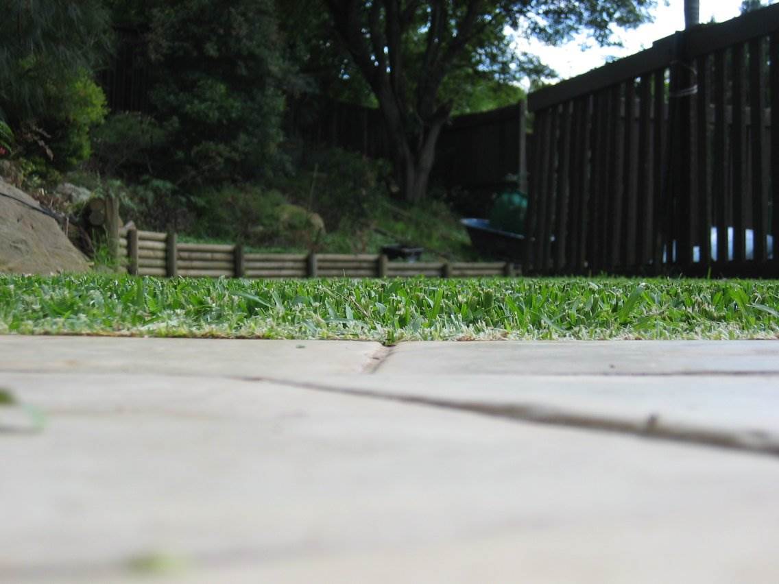 Flymo grass 2