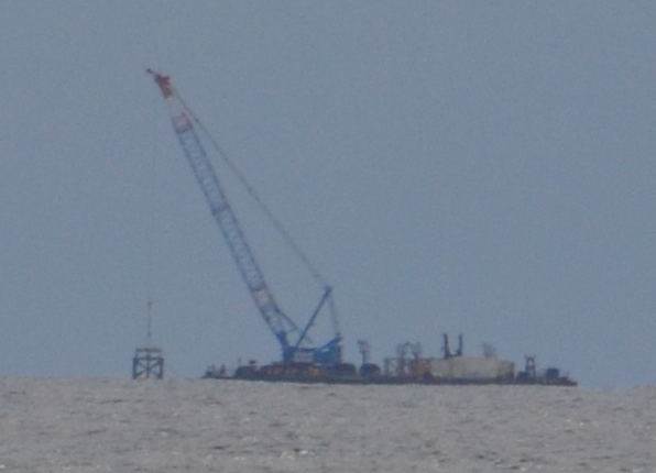 reef making