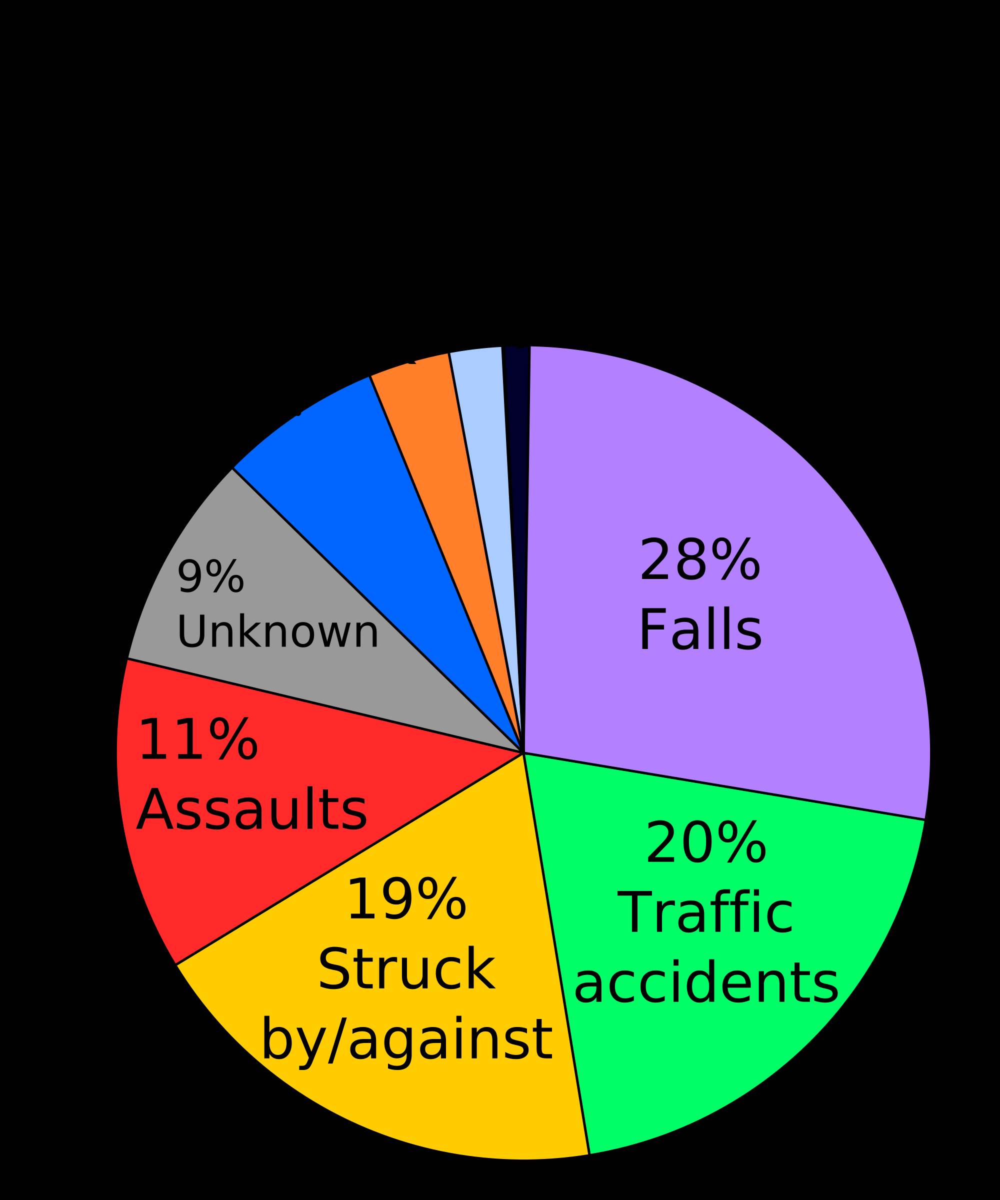 Other 2000px TBI Causes Chart Svg