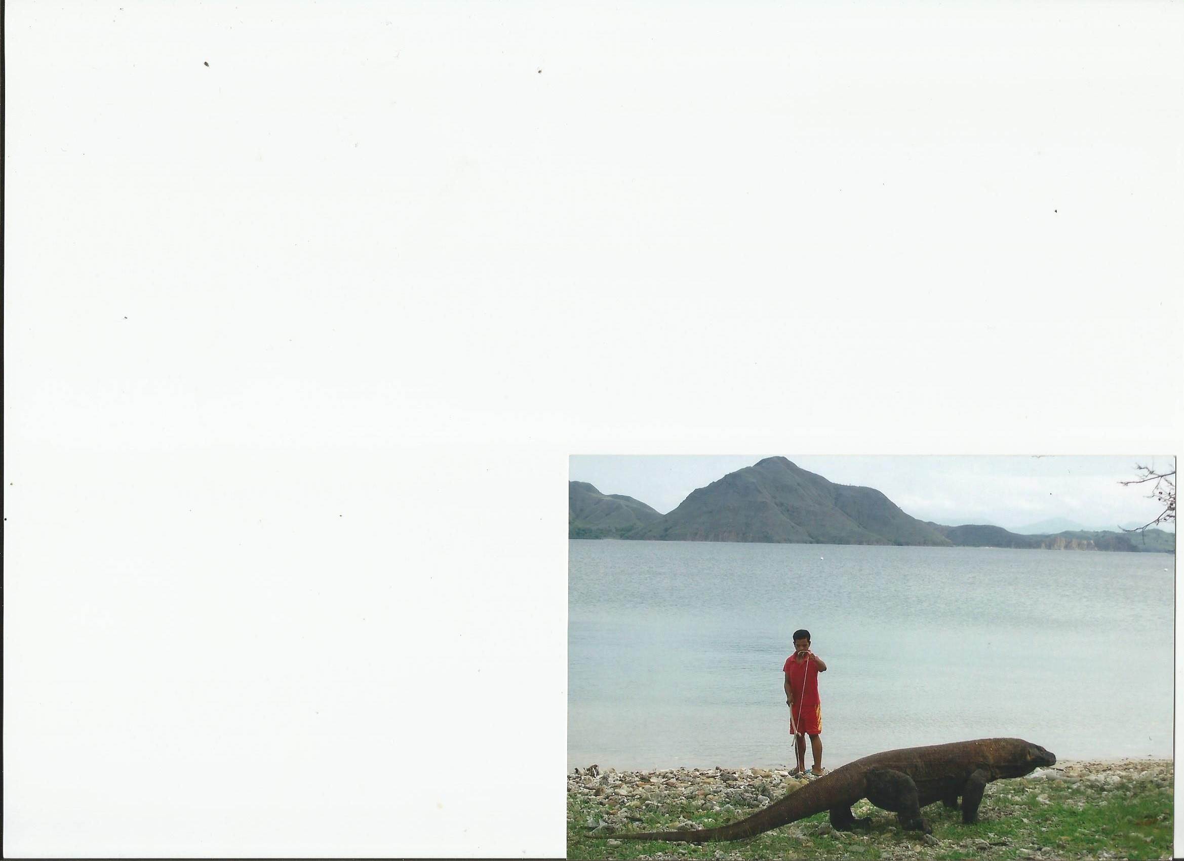 KOMODO