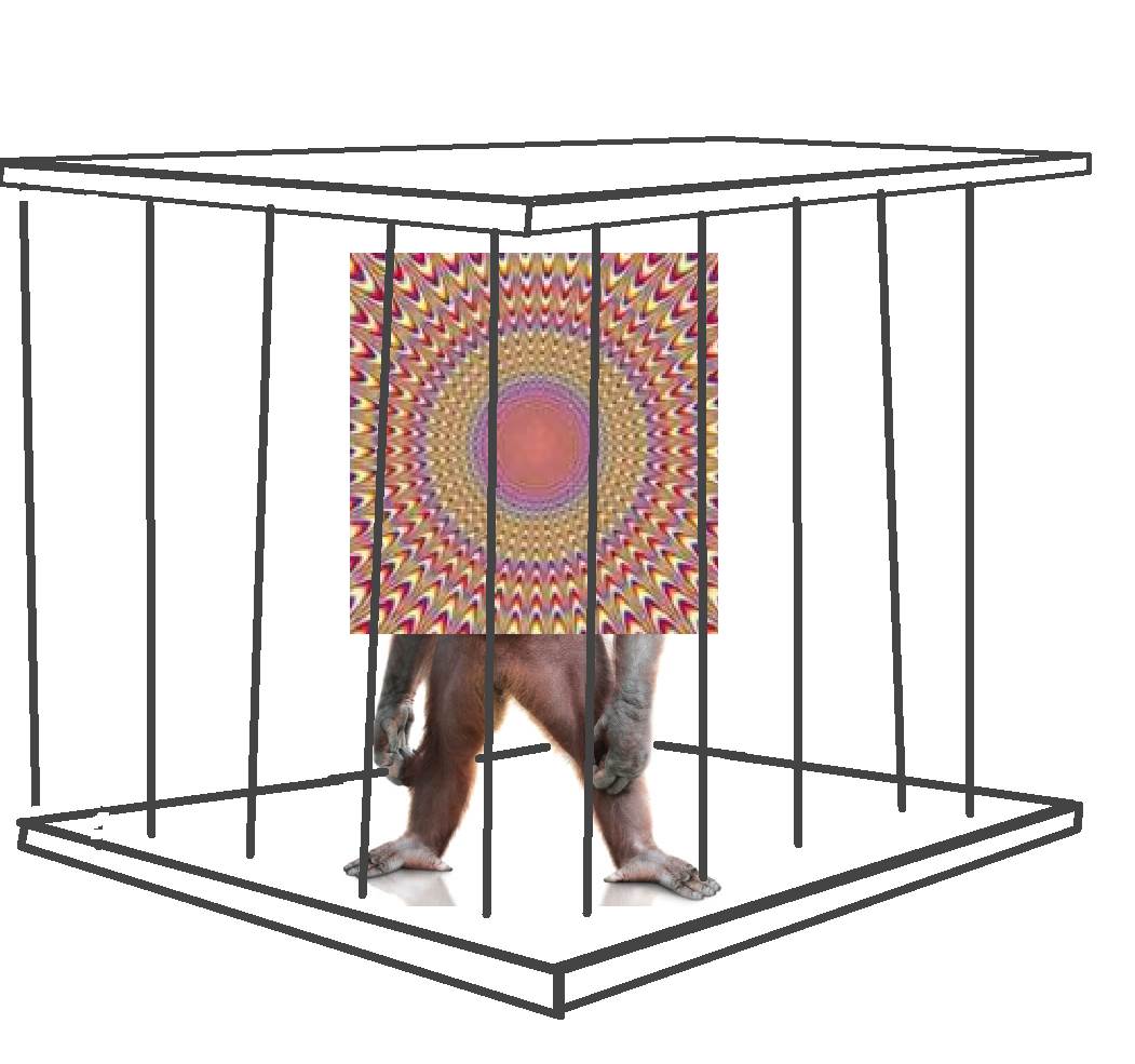 Bonobo