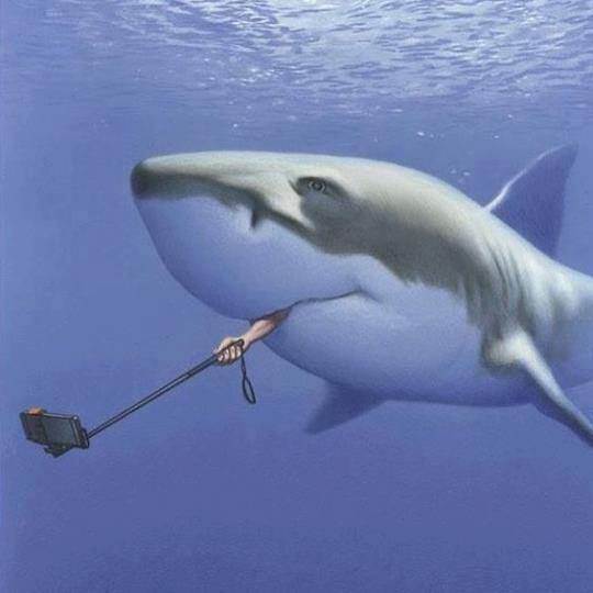 13626573 1074075282679189 1723045897162208094 n