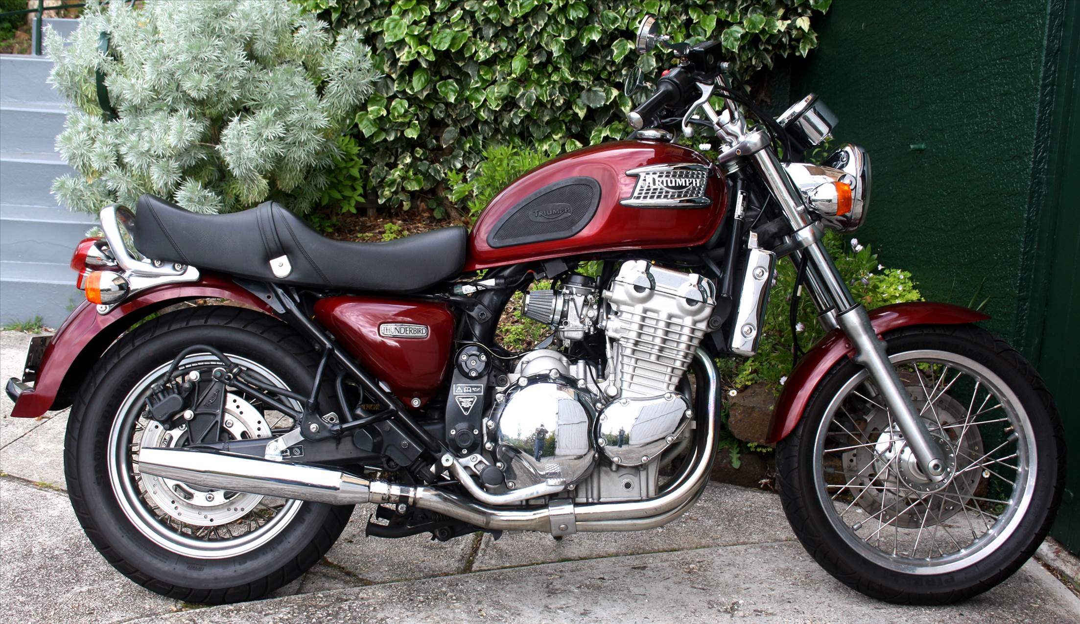Thunderbird