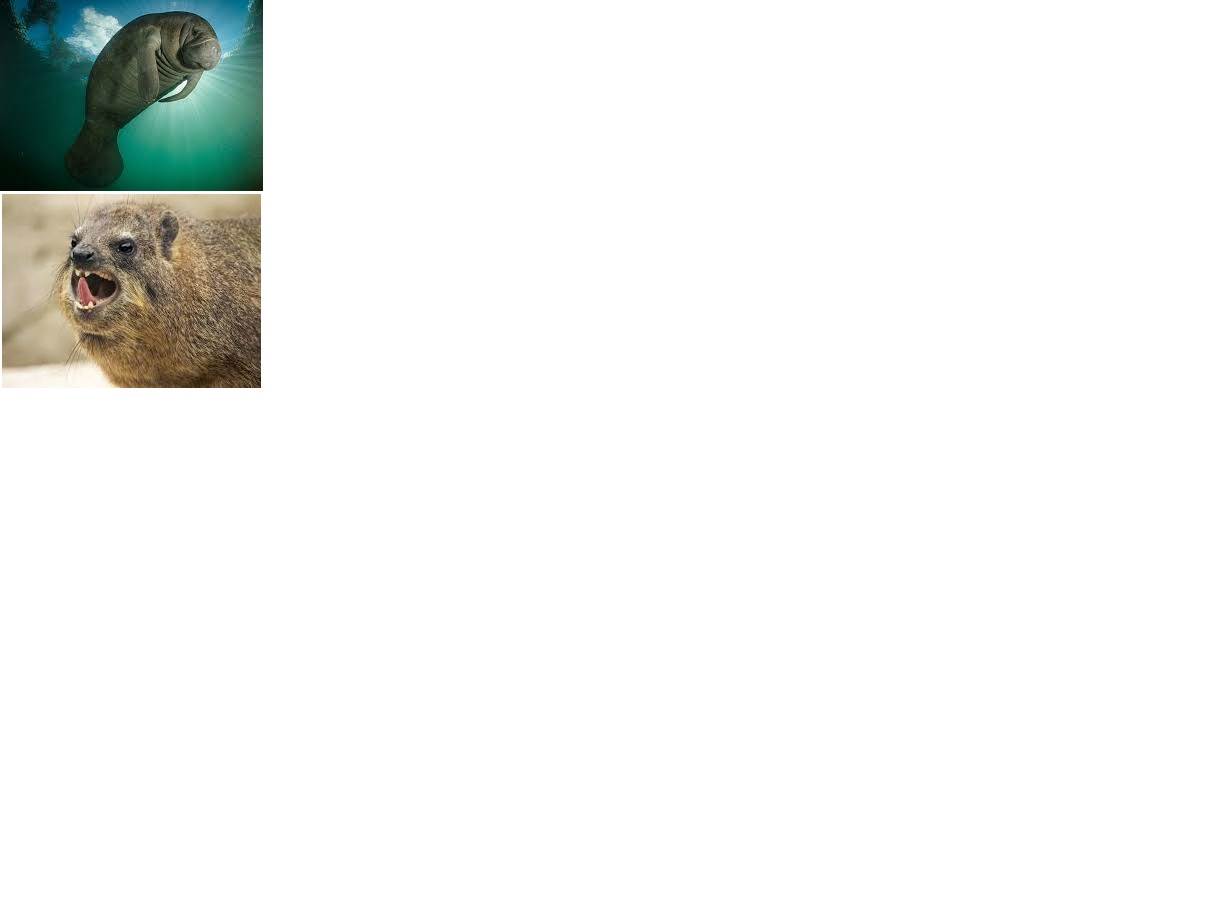 Proof