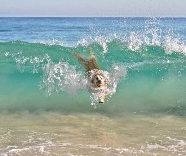 picdump-1448-12