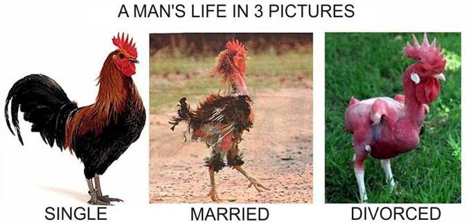manslife