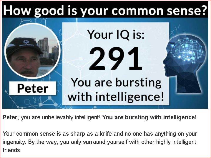 291 1