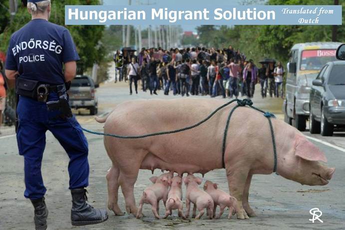 Migrants