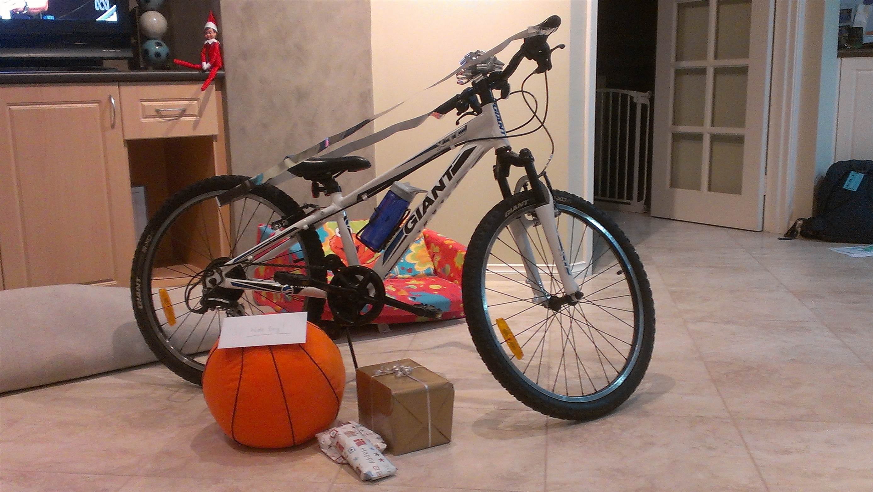 IMAG3871