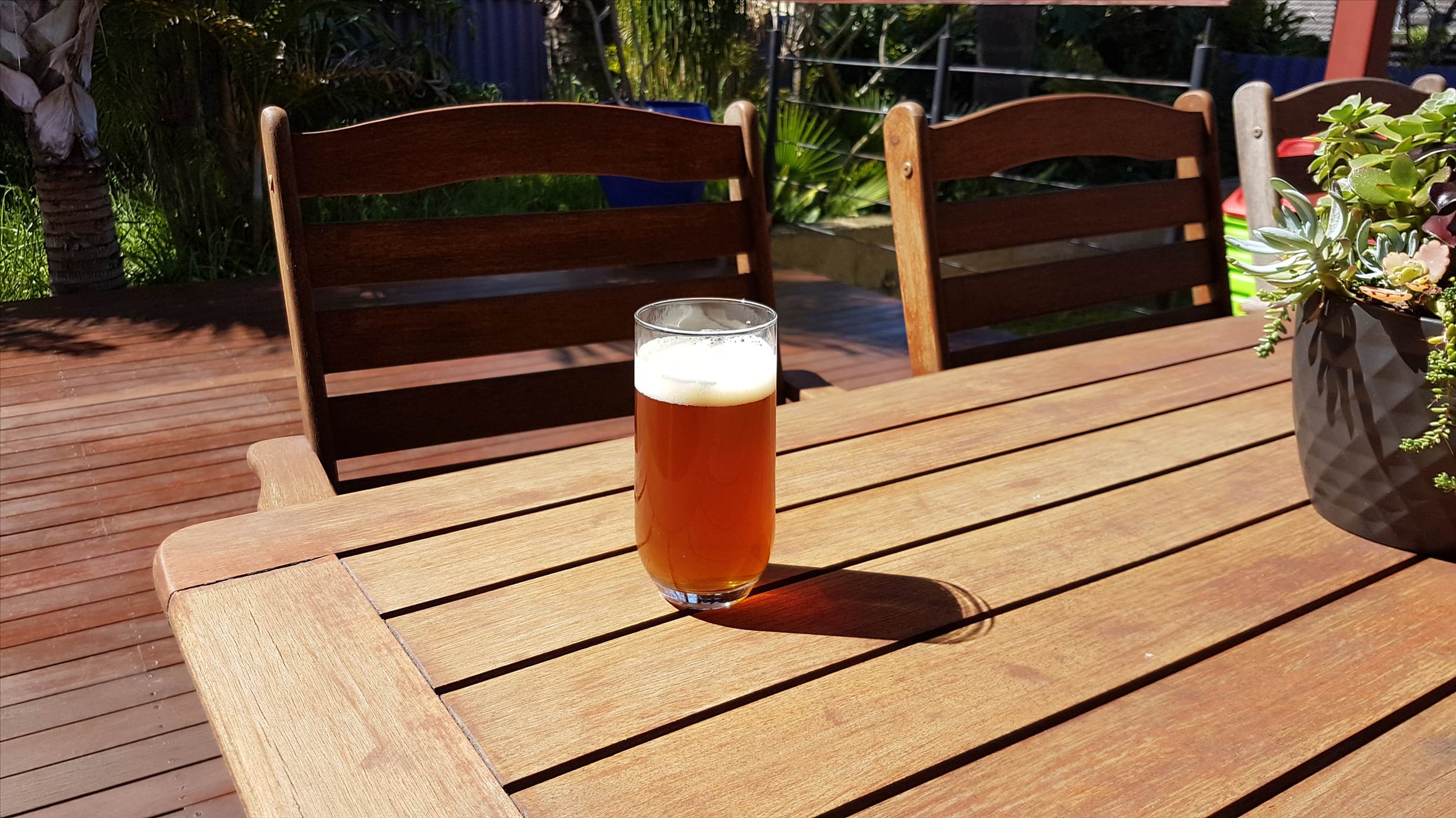Brew