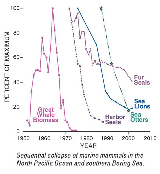 sequential collapse of marine mammals