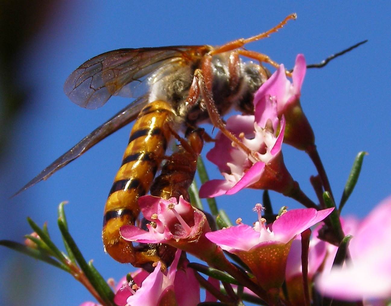 P8050116