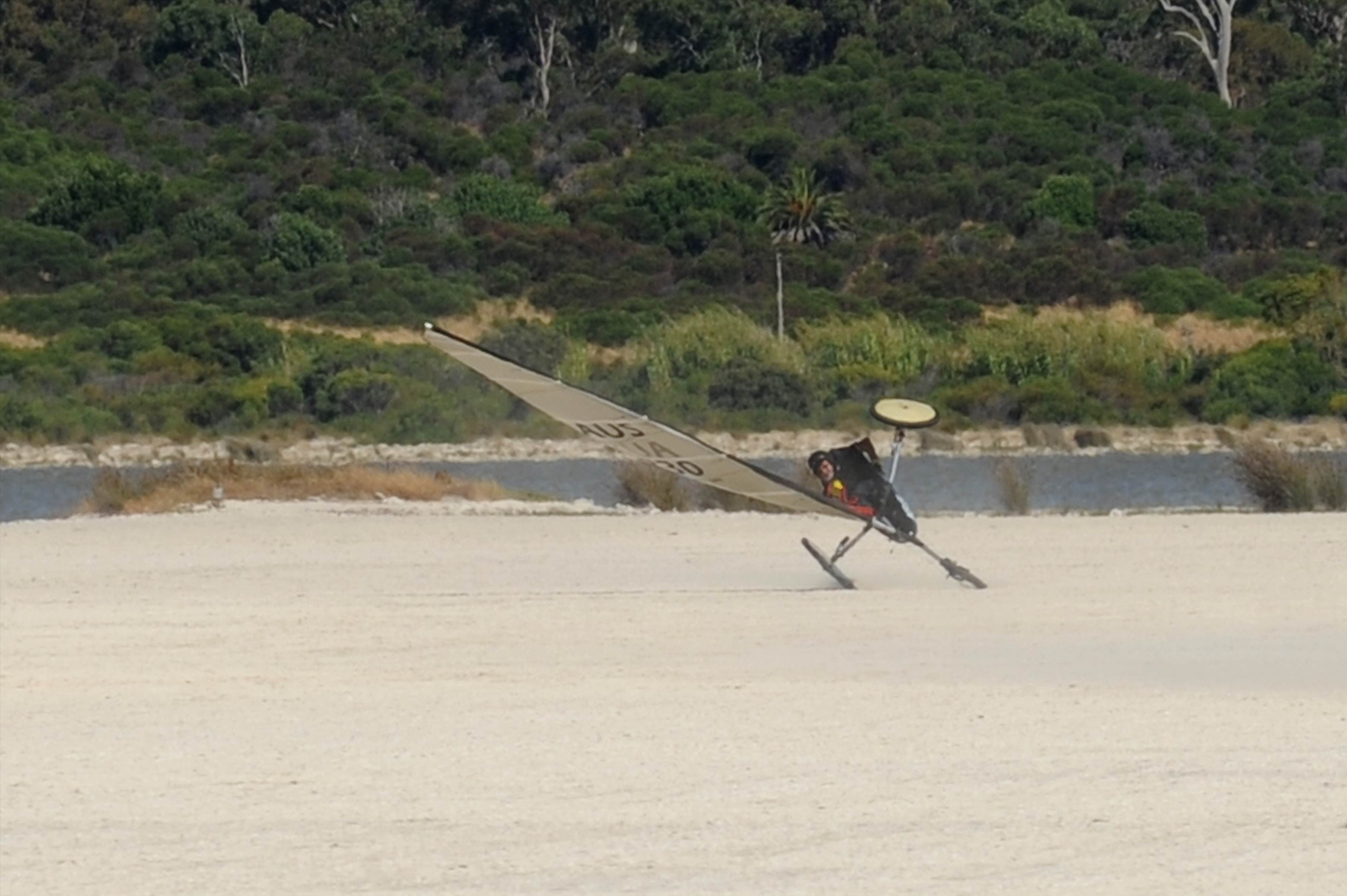 sandgropers
