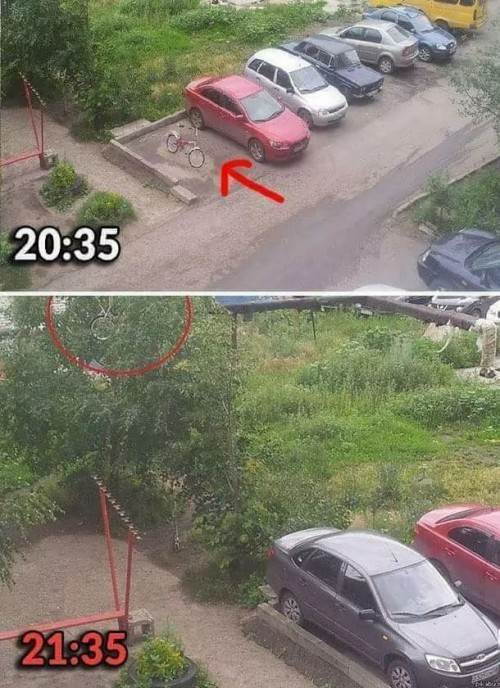 bike park