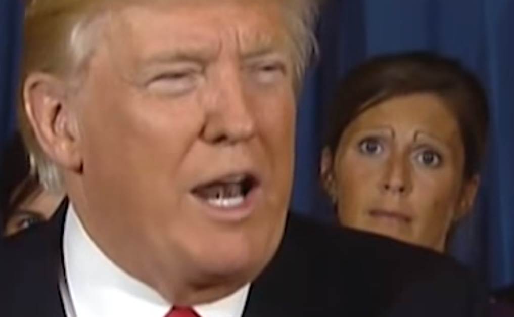 Don brows