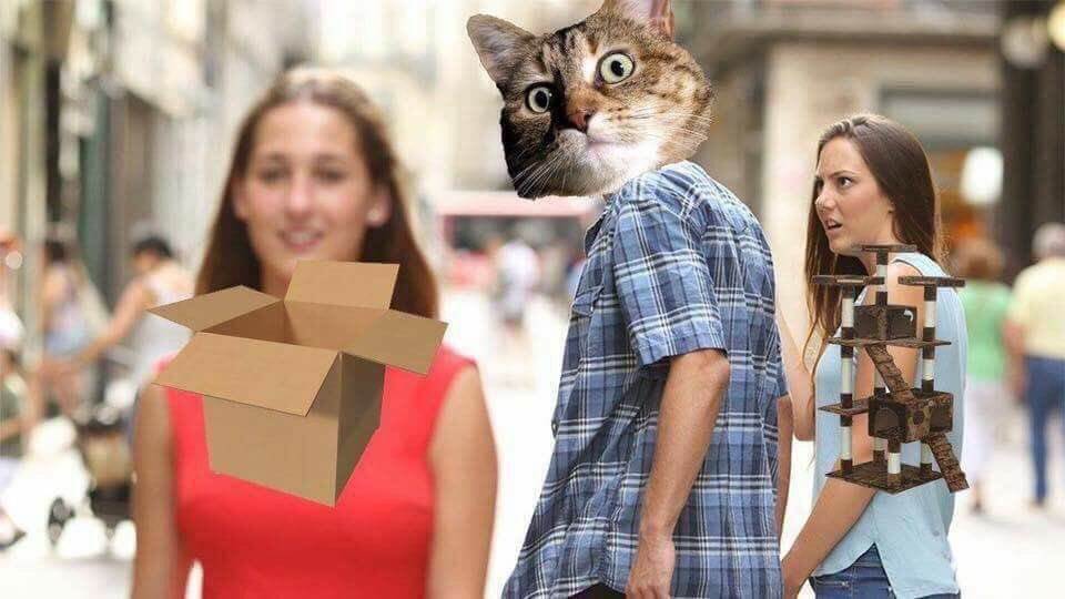 DIWAoliXgAQTuuF.jpg-large