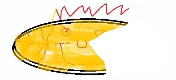WDQWDWD