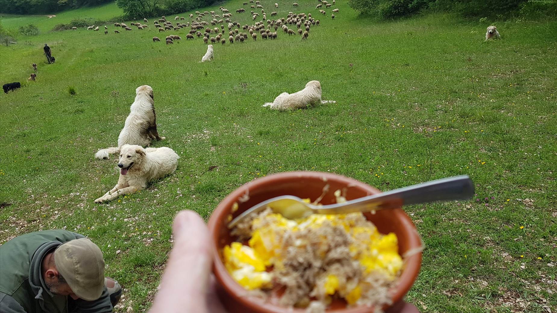 Truffles in Umbria