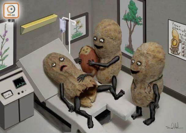 peanut3