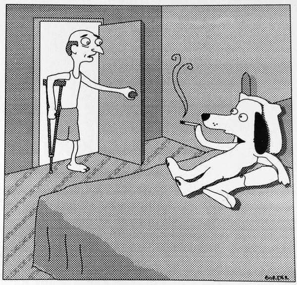 dog leg