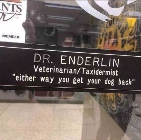 vet taxi