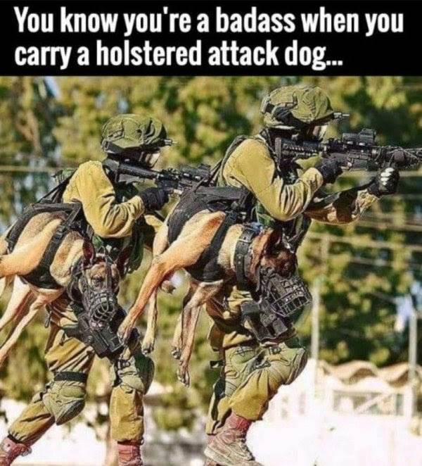 Attack dog