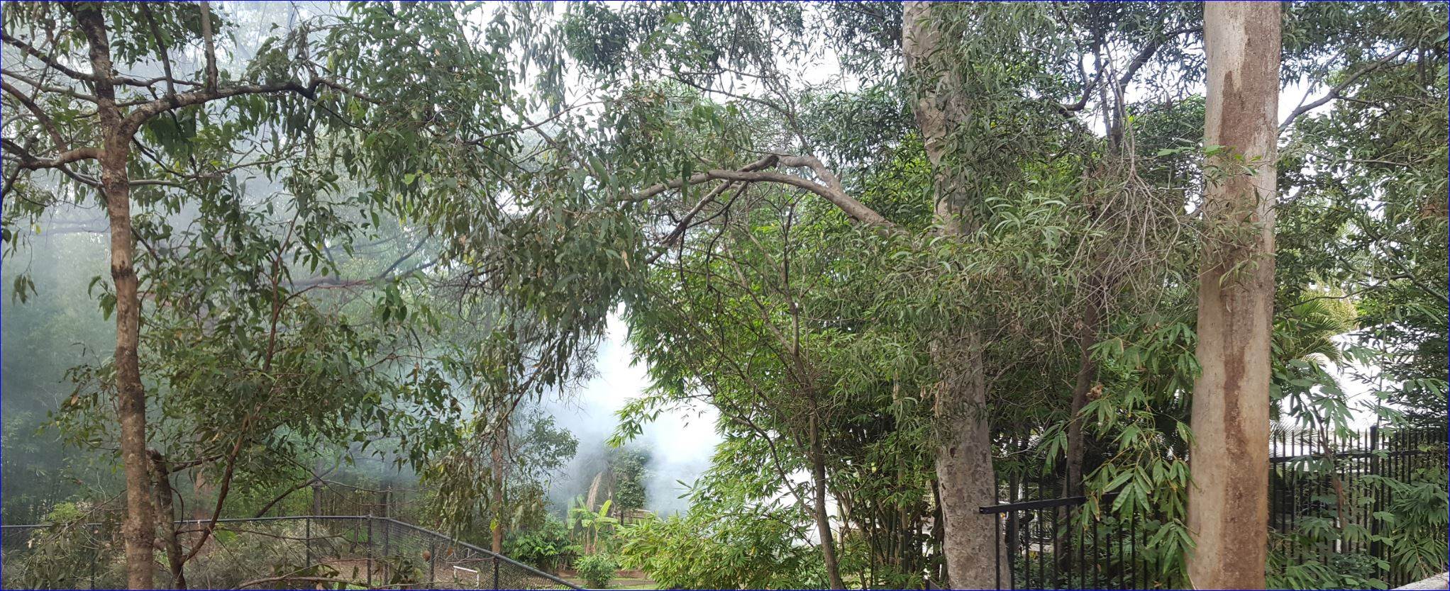 Smoke 7 Jul 2019