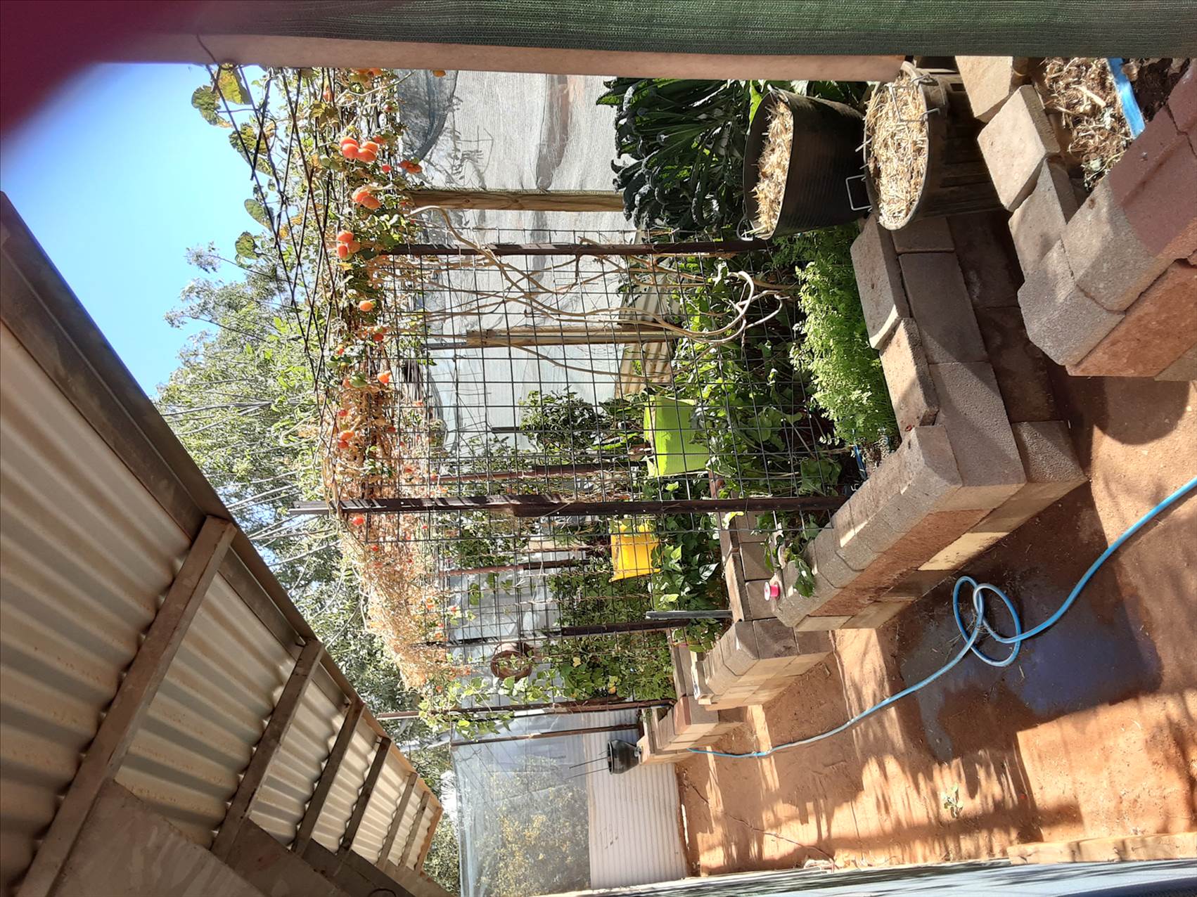 Healthy