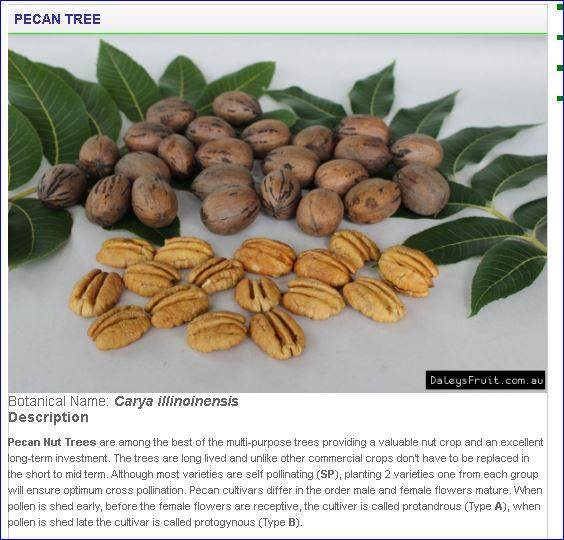 67j8678j6786