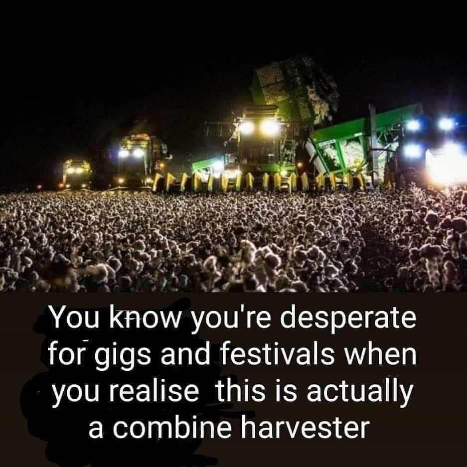 concert