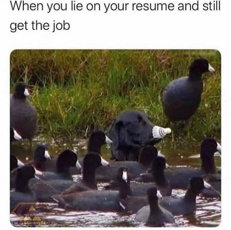 FBIMG1597155365161
