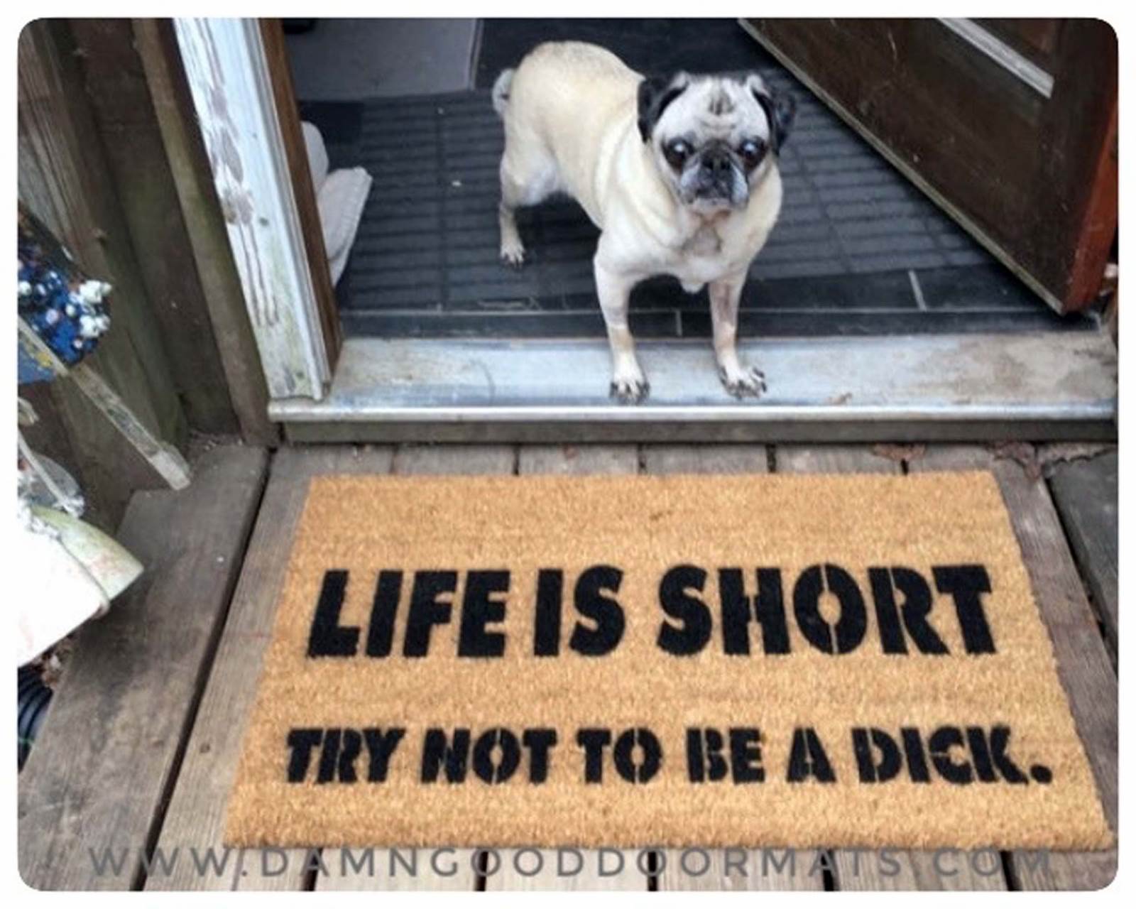 lifeshortdick.jpegfunnyrudewelcomematdamngooddoormats