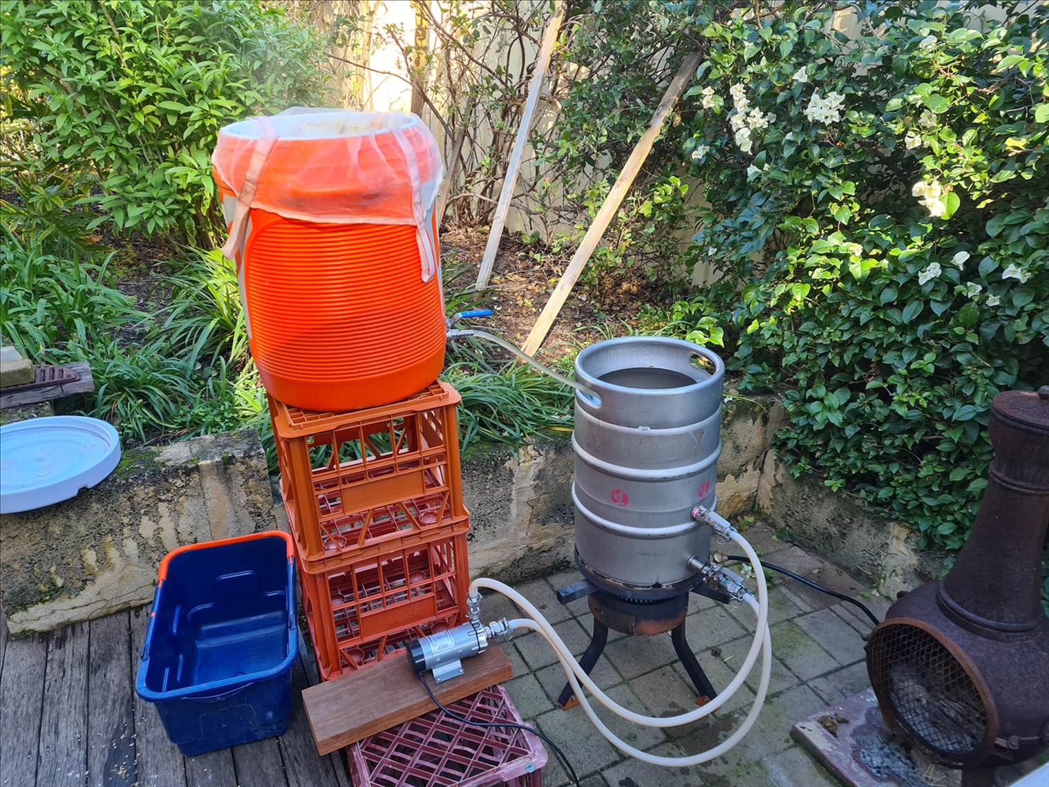 Beer