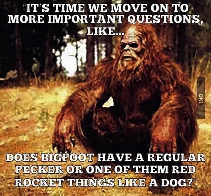 FBIMG1603458929158