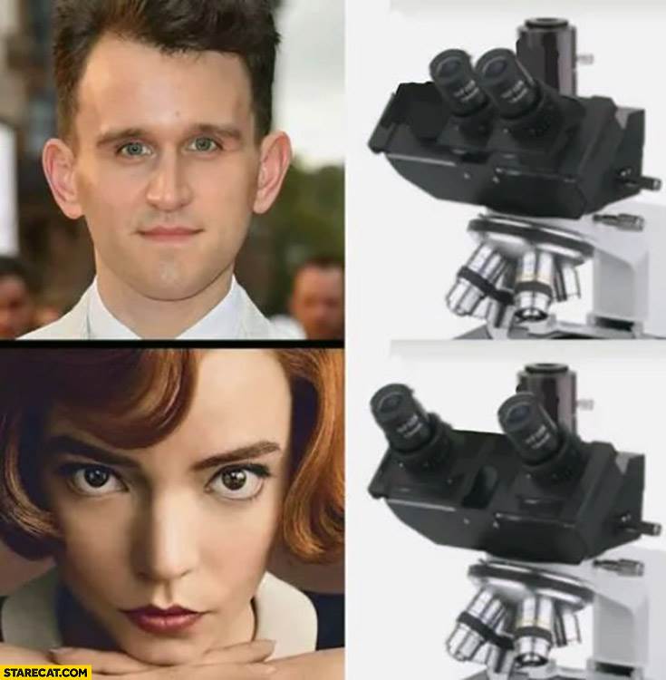 queens-gambit-characters-eyes-microscope-setup-setting