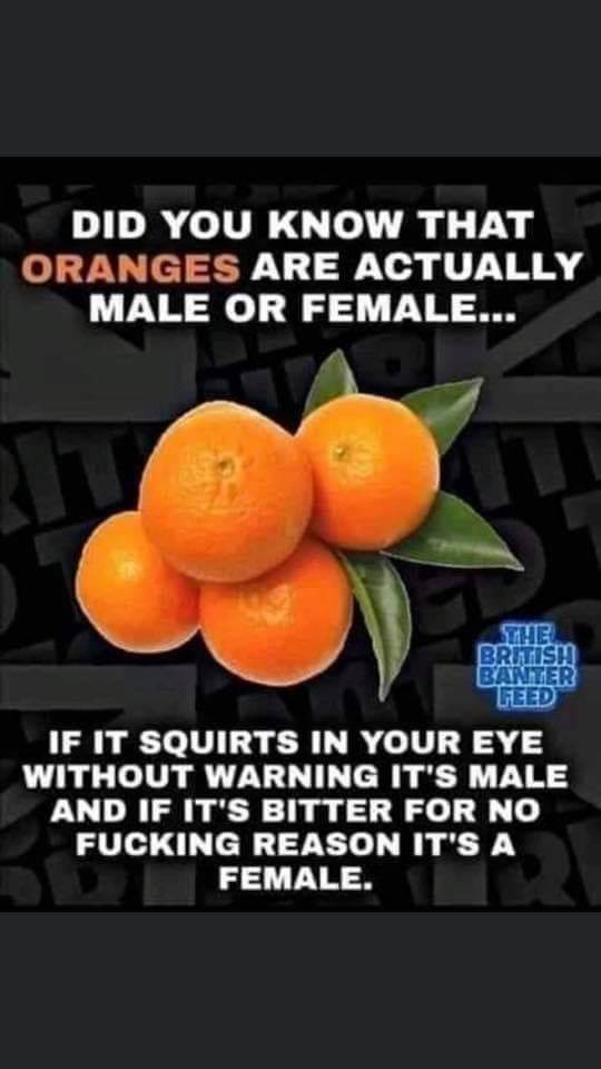 FBIMG1615732110614