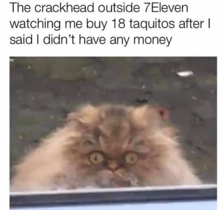 FBIMG1616716744682