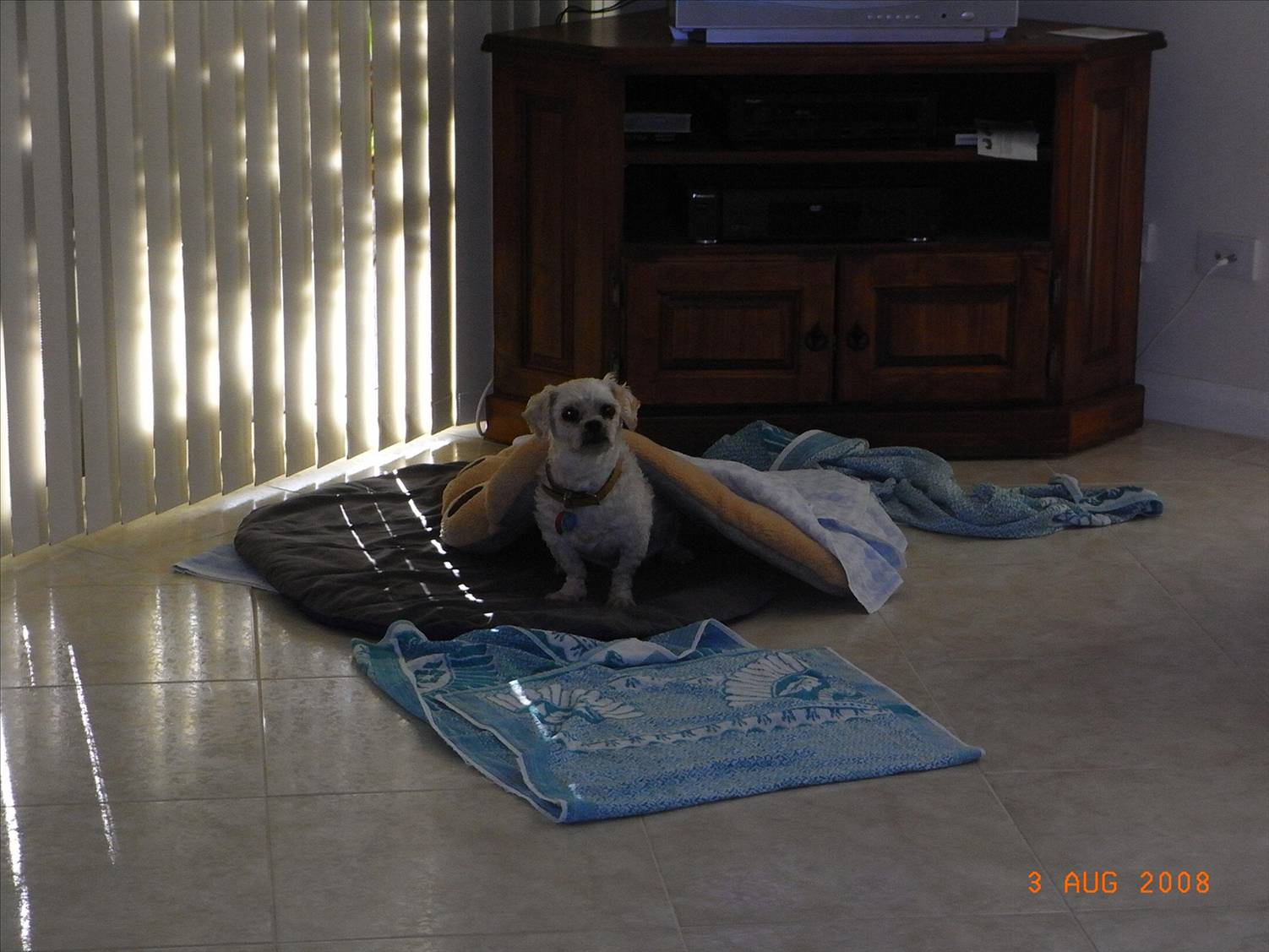 Max before...