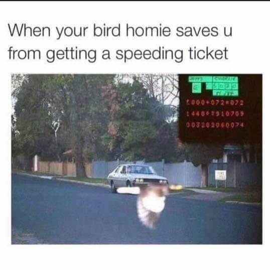 FBIMG1621917428330