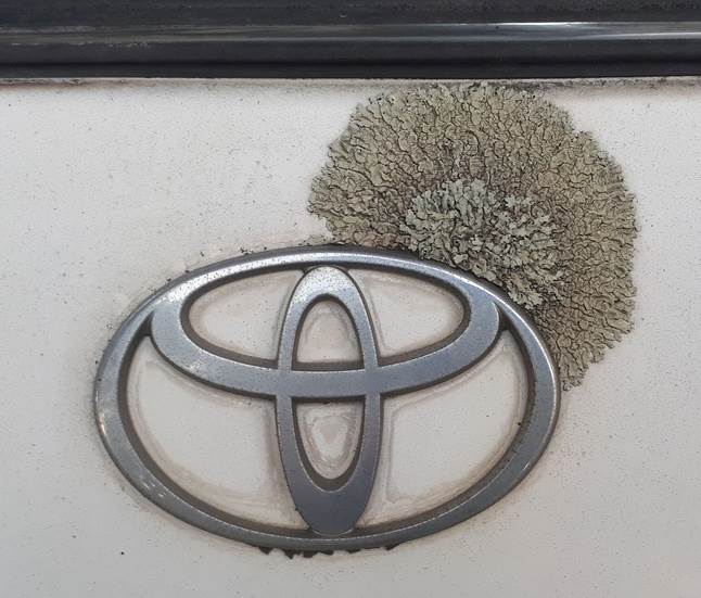 Camry1