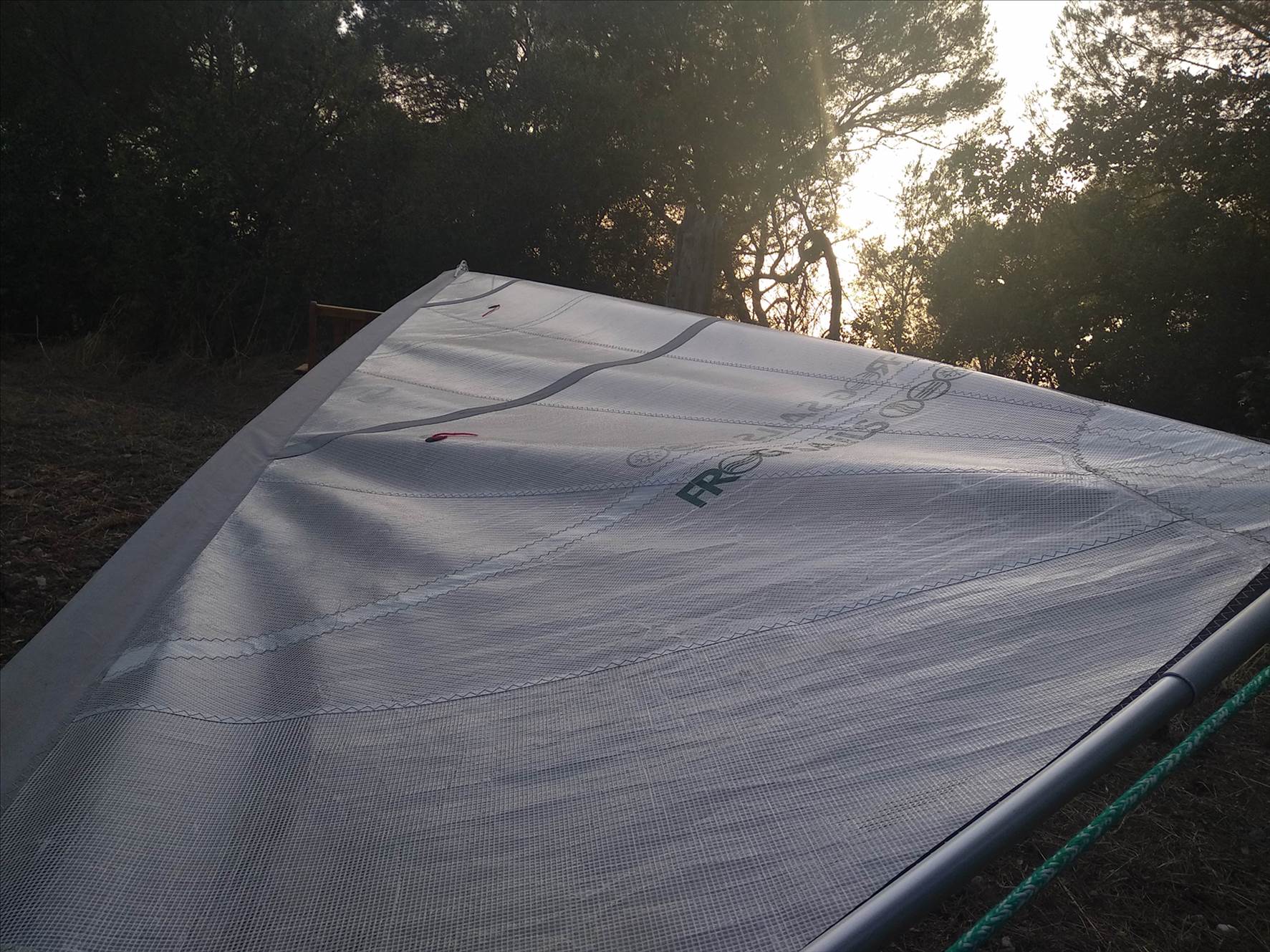 Sail with Alu mast