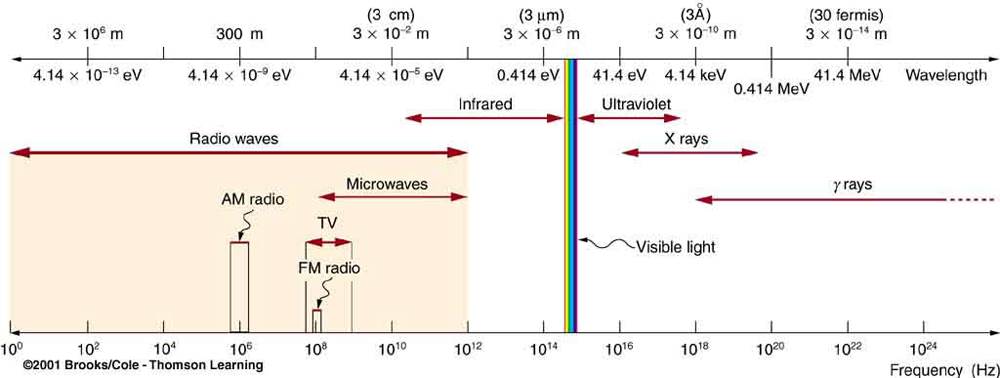 Figure300301a