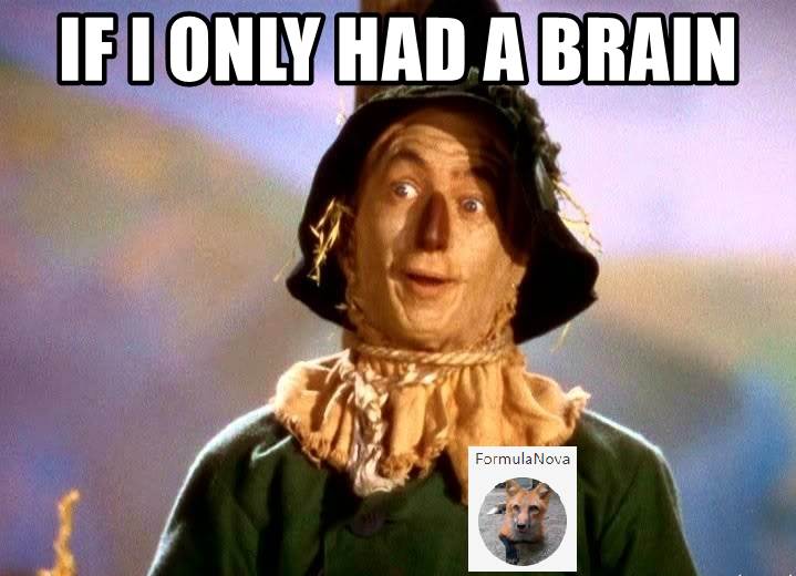 brain
