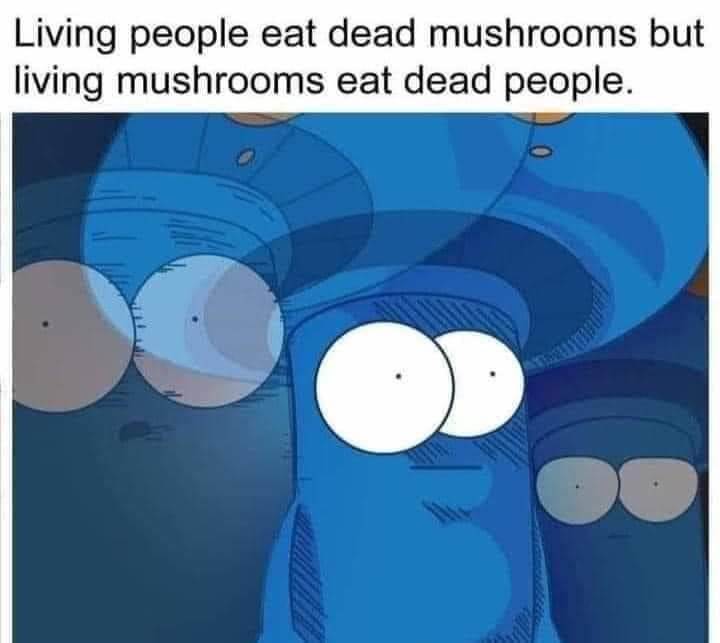 FBIMG1645098646476