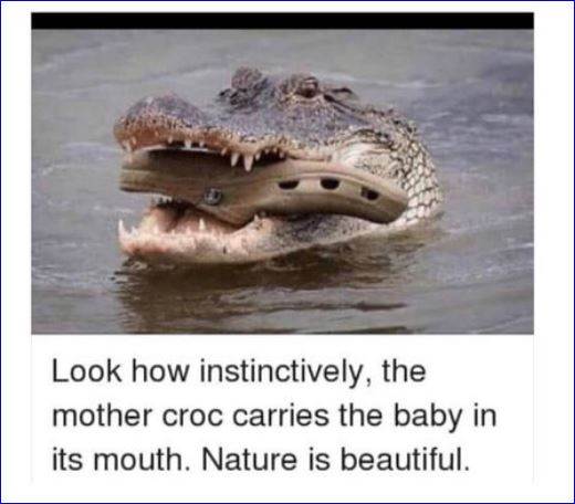 hrtyhthnthrnrtny