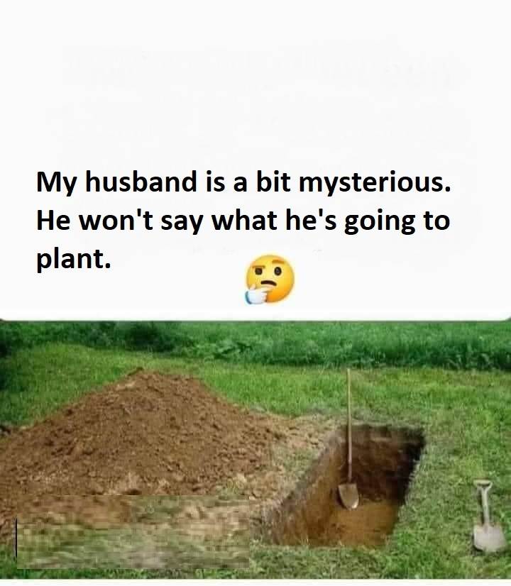 plant