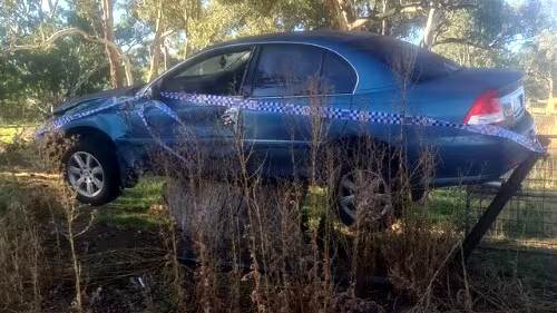 car on tree